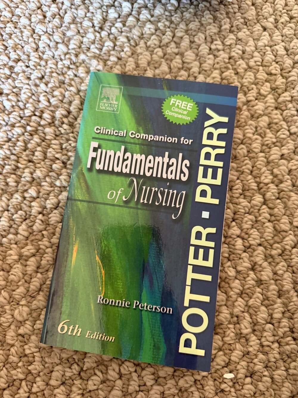 Clinical Companion for Fundamentals of Nursing by Potter, Perry, and Peterson